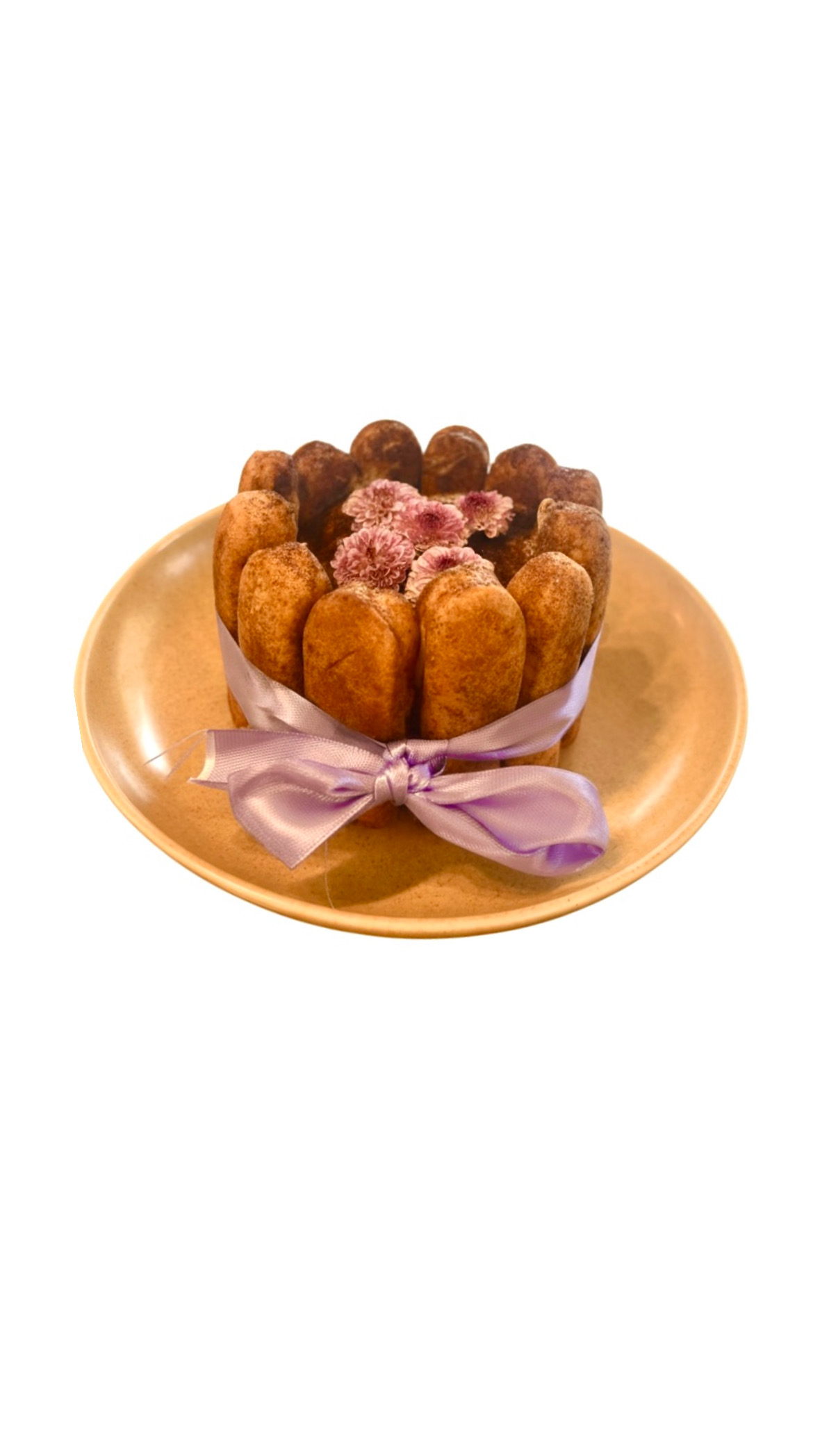 تیرامیسو قالبی 